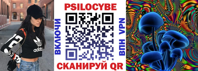 Псилоцибиновые грибы GOLDEN TEACHER  как найти   Саки 